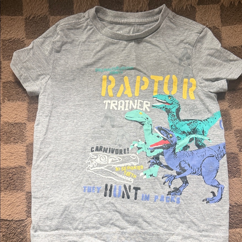 Boys' Grey Raptor Trainer Graphic Tee